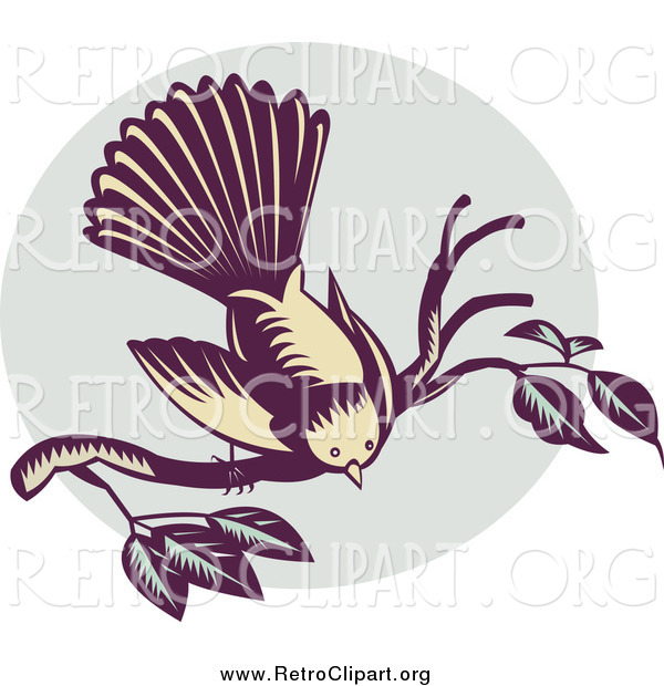 Clipart of a Retro New Zealand Fantail Bird on a Branch