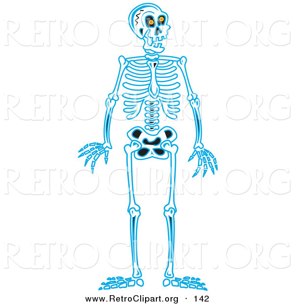 Retro Clipart of a Blue Human Skeleton Standing Upright on a Solid White Background