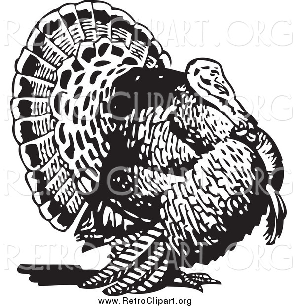 Clipart of a Retro Black and White Turkey Bird