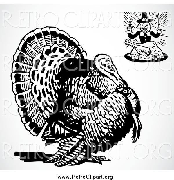 Clipart of a Retro Hungry Pilgrim and a Big Turkey Bird over Shading