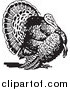 Clipart of a Retro Black and White Turkey Bird by BestVector